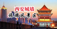 操鸡巴牛逼视频,免费中国陕西-西安城墙旅游风景区